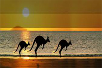 Những Địa Danh Hút Hồn Du Khách Khi Đến Australia