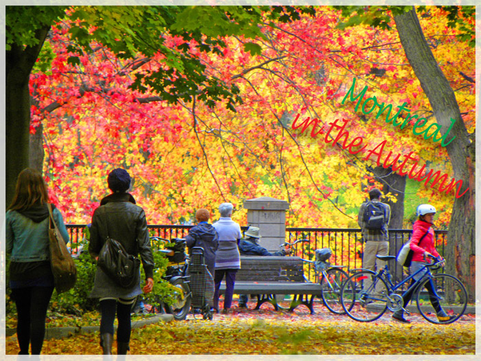 ban-tinh-ca-mua-thu-canada