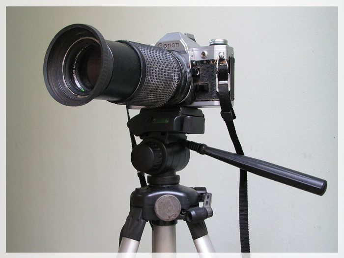 bi-kip-chup-anh-dep-khi-du-lich-my-01