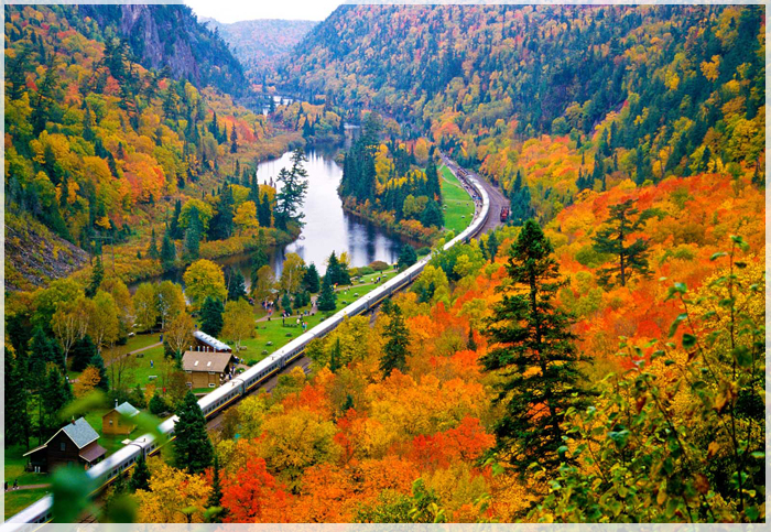 Cách Chọn Tour Du Lịch Canada Mùa Thu Tại Các Công Ty Du Lịch Uy Tín