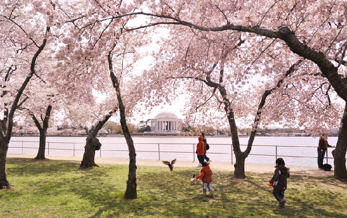 Mua sắm tại Mỹ tiết kiệm mùa xuân