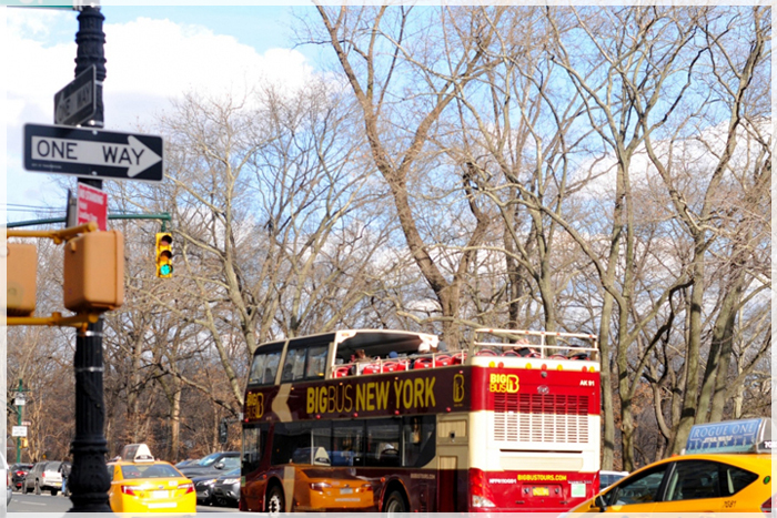 Cẩm Nang Du Lịch Mỹ Mùa Giáng Sinh Bạn Cần Biết