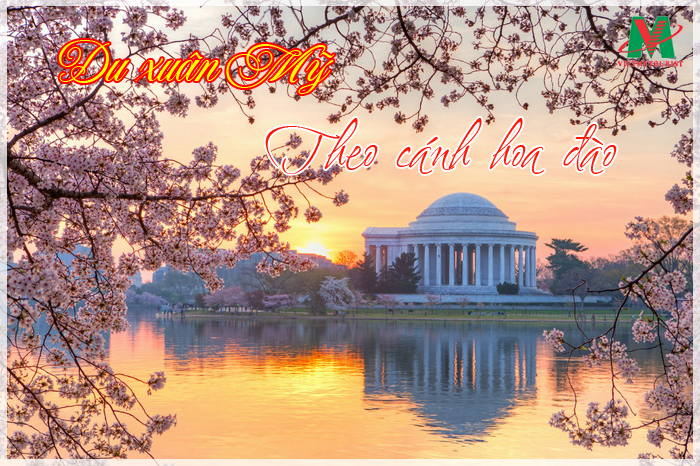 con-sot-du-xuan-my-theo-canh-hoa-dao