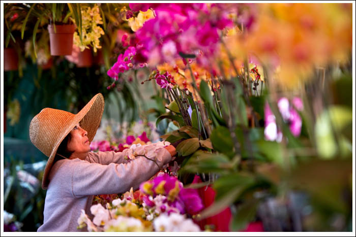 Đồng Hương Người Việt Ăn Tết Tại Mỹ