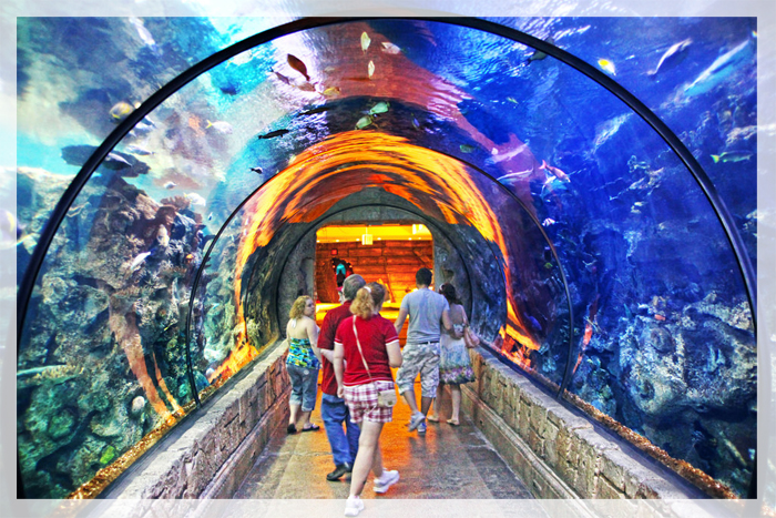 di-dau-choi-gi-tai-las-vegas-rang-ca-map-vinh-Mandalay