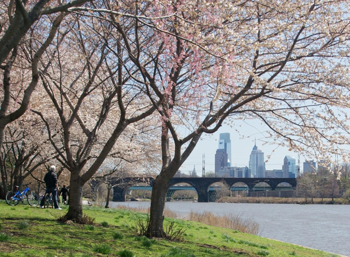 Điểm Đến Mới Hấp Dẫn Khi Du Lịch Mỹ Mùa Hoa Anh Đào