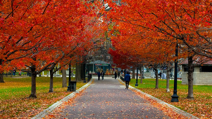 Thu Về Ngắm Boston