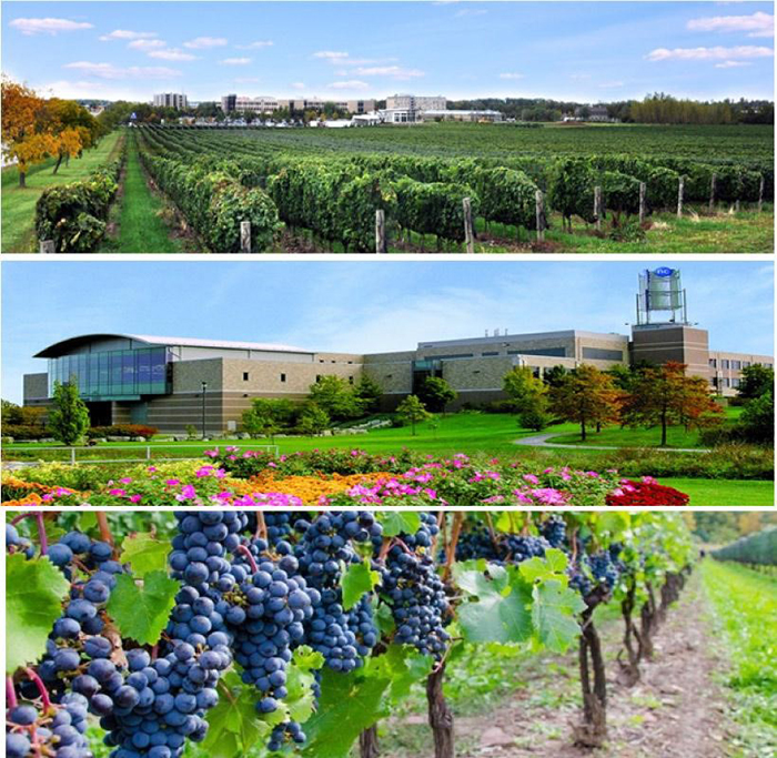 Du lịch Canada mùa Thu