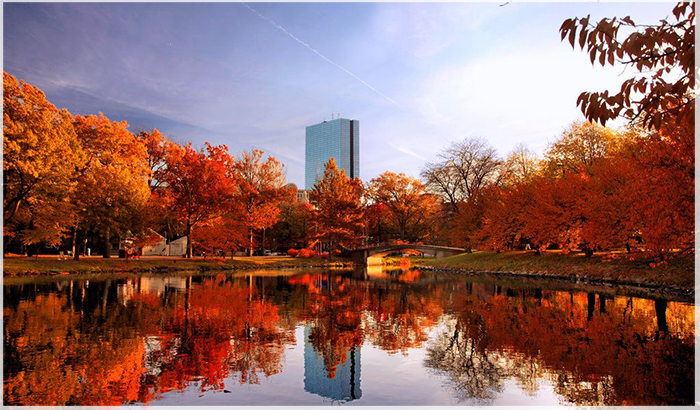 Chiêm Ngưỡng Vẻ Đẹp Bờ Đông Khi Du Lịch Mỹ Mùa Thu