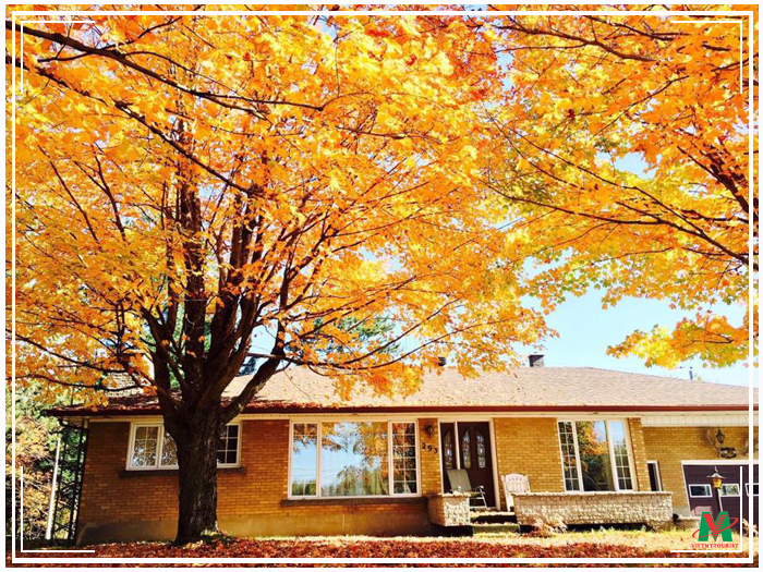 Hình Ảnh Đoàn Du Lịch Mỹ – Canada Của Vietmytourist