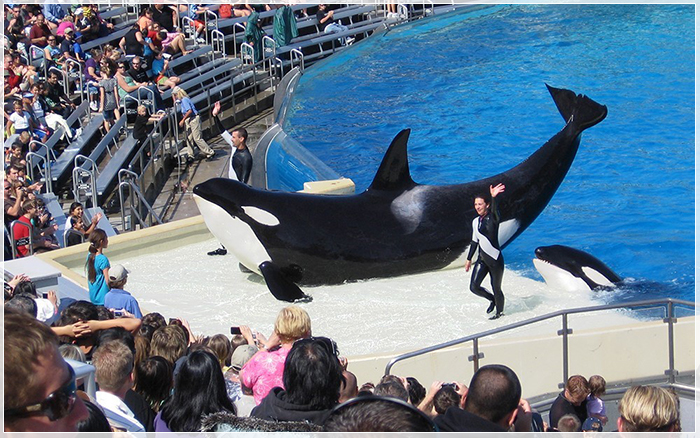 Đừng lỡ hẹn với du lịch Mỹ cuối hè