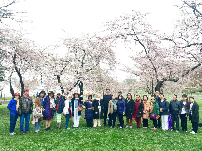 Thủ Tục Xin Visa Du Lịch Mỹ Thăm Thân Mùa Hoa Anh Đào