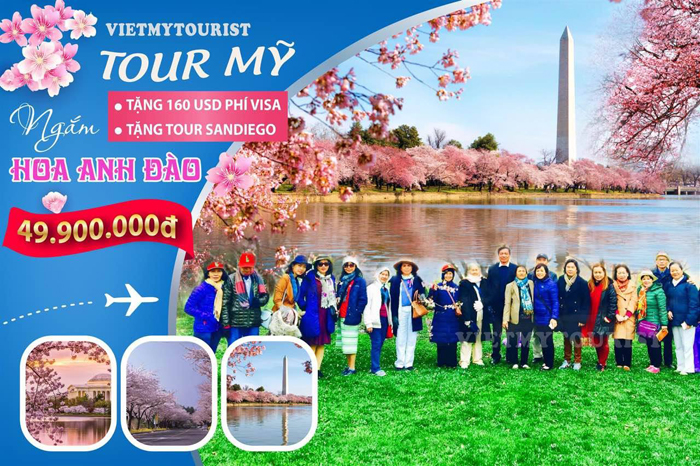 Du Lịch Mỹ Đầu Năm Để Ngắm Trọn Cảnh Đẹp Mùa Anh Đào Nở