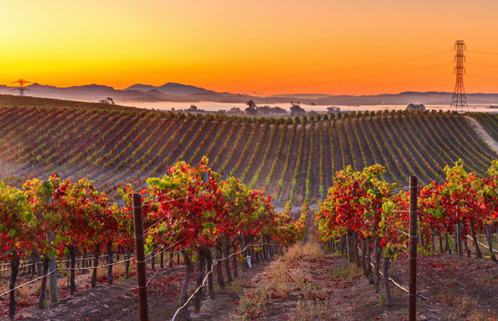 Du Lịch Mỹ Mùa Thu Có Gì Hấp Dẫn?