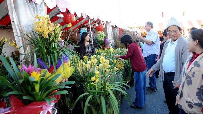 Du lịch Mỹ dịp Tết nguyên đán