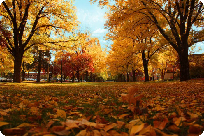 du-lich-uc-mua-nao-dep-nhat