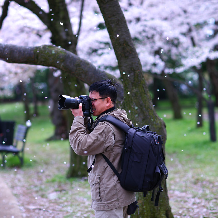 Du lịch Mỹ hoa Anh đào