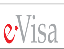 Visa Hàn Quốc: Thông Tin Cần Biết Về E-Visa