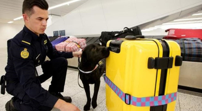 Hành lý nhâp cảnh Mỹ