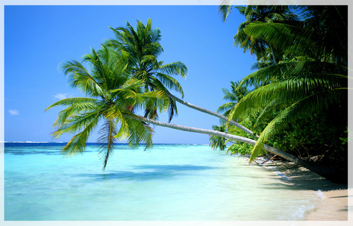 hawaii-nang-tien-kieu-diem-ben-bo-thao-binh-duong