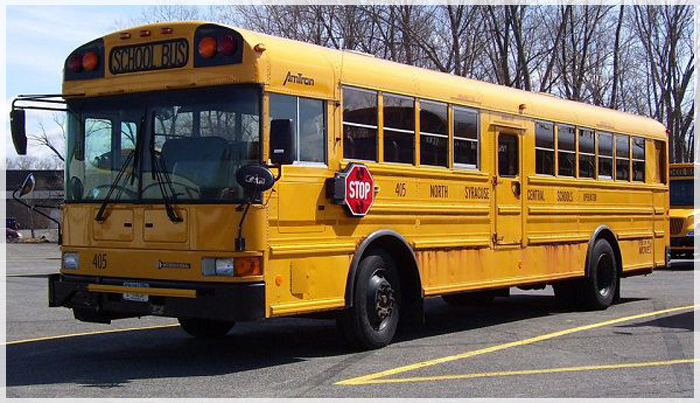 Cách Sử Dụng Các Phương Tiện Công Cộng Khi Du Lịch Mỹ Mùa Thu