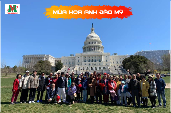 Du lịch Mỹ mùa hoa anh đào