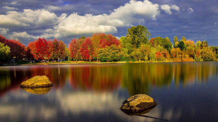 khi-mua-thu-go-cua-vancouver-07