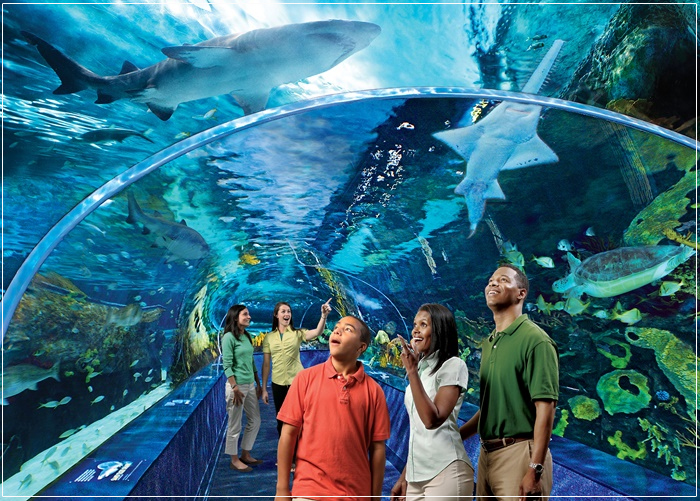 Đi du lịch Mỹ mùa hè