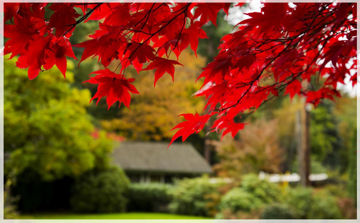 kinh-nghiem-du-lich-bo-dong-nuoc-my