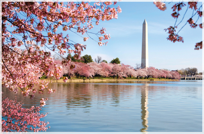 Nên Đi Du Lịch Bờ Đông Nước Mỹ Vào Thời Gian Nào?