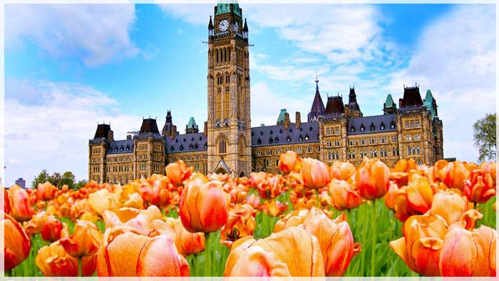 Đi Canada Mùa Hoa Tulip – Bắc Nhịp Cầu Nối Yêu Thương