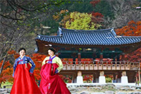 Visa Du Lịch Hàn Quốc Không Khó Như Bạn Tưởng