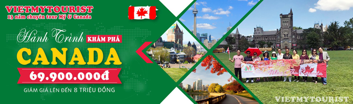 le-hoi-hoa-tulip-canada