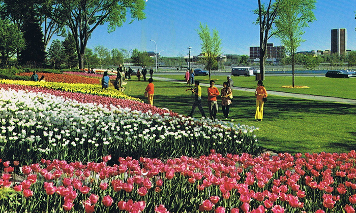 Lễ hội hoa tulip Canada