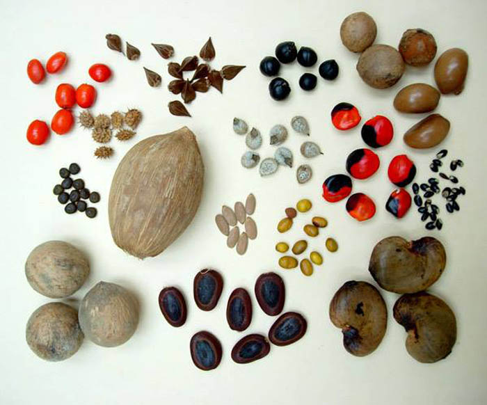 luu-y-du-lich-my-ngay-tet