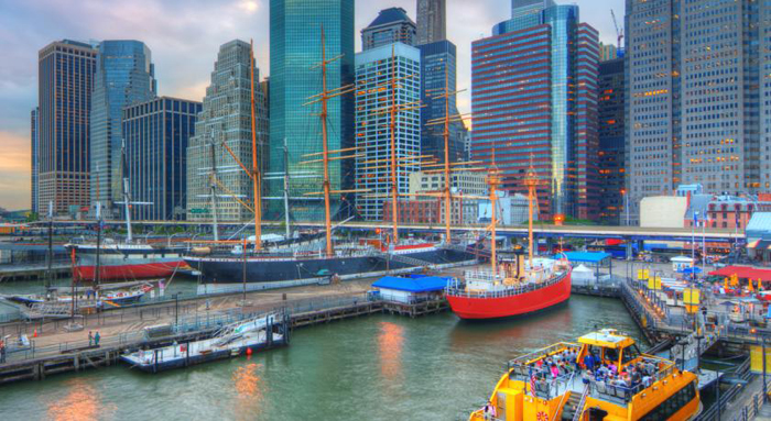 meo-hay-mua-sam-tai-my