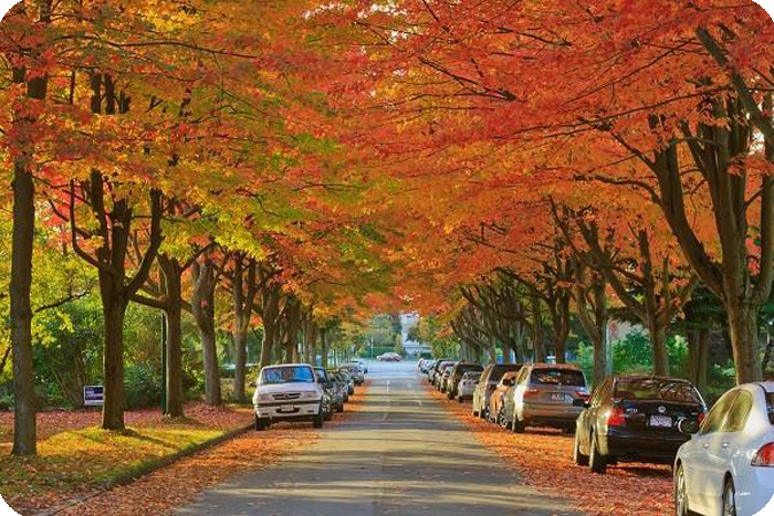 mua-thu-canada-Gravenhurst