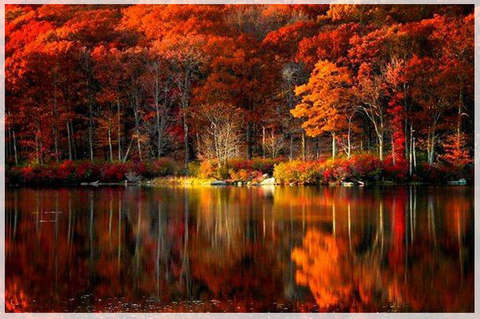 mua-thu-canada-Peggy