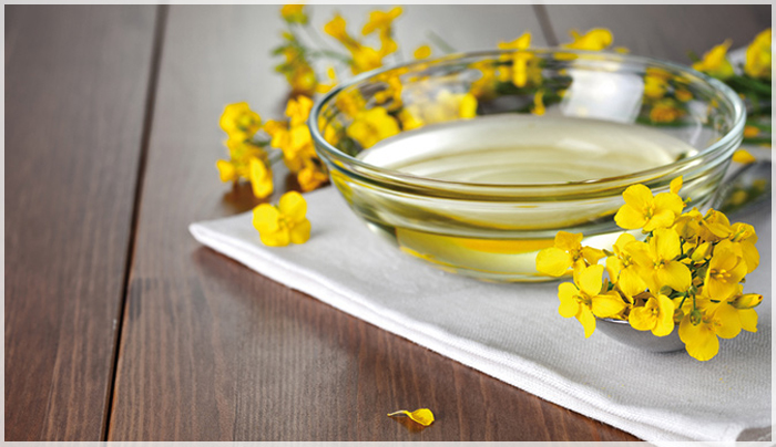 Mùa Xuân Canada Không Chỉ Có Hoa Tulip