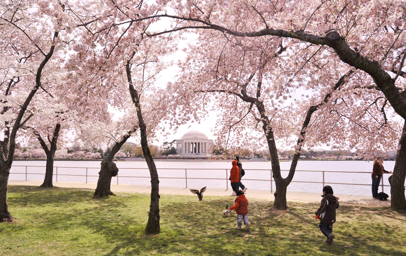 Lưu Ý Khi Đi Du Lịch Mỹ Mùa Xuân