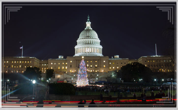 nguon-goc-hai-cay-noel-tai-toa-bach-oc-va-quoc-hoi-my