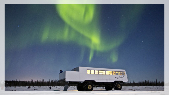 nhung-dia-danh-dang-den-nhat-o-canada-churchill