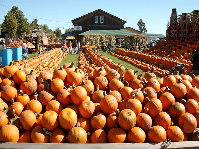 Du lịch Canada mùa thu