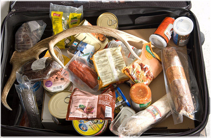 Quy định cần thiết khi du lịch mỹ mùa thu