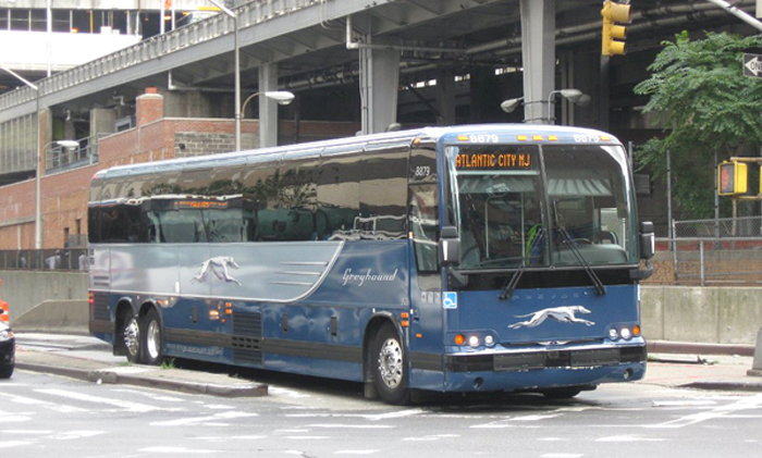 sang-my-nho-di-xe-do