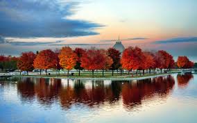 Sống Chậm Cùng Mùa Thu Montreal