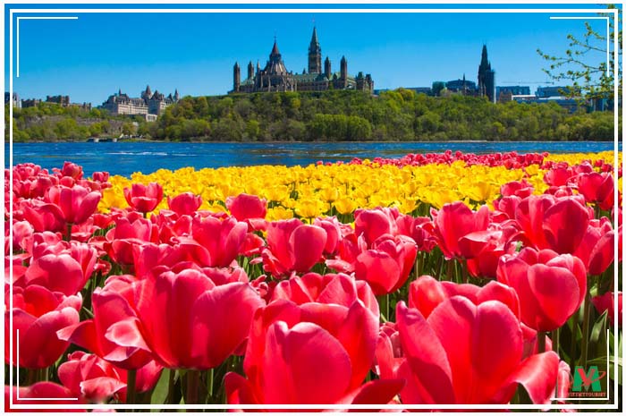 su-tuong-phan-mau-sac-o-canada-khi-mua-xuan-go-cua