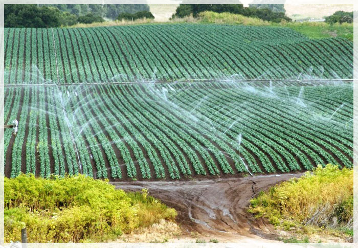 tai-sao-nong-nghiep-my-phat-trien-hang-dau-the-gioi