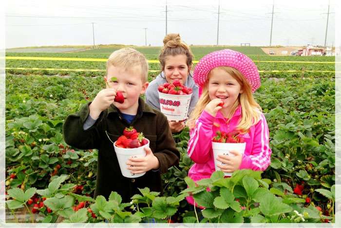 tai-sao-nong-nghiep-my-phat-trien-hang-dau-the-gioi