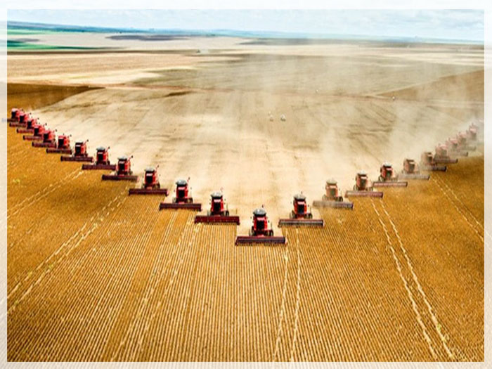 tai-sao-nong-nghiep-my-phat-trien-hang-dau-the-gioi